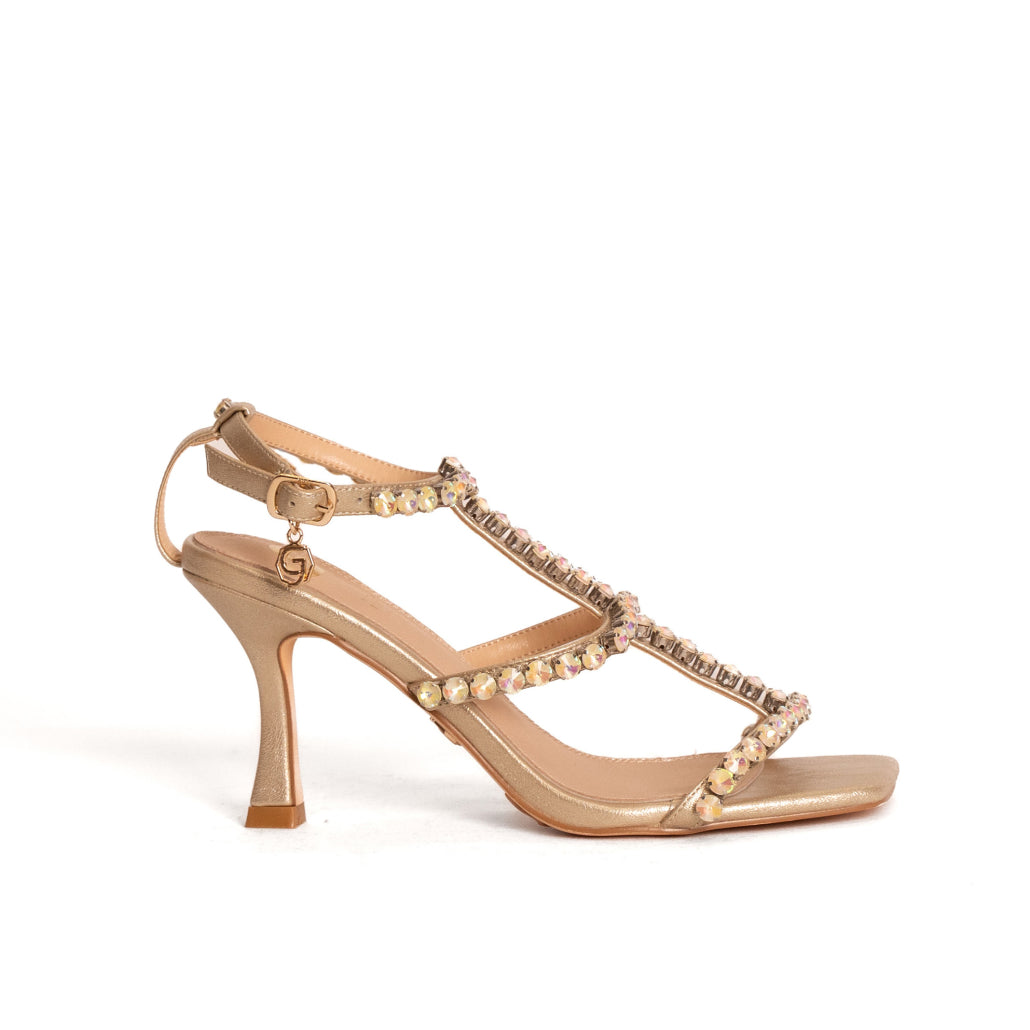Gold&gold gv63
