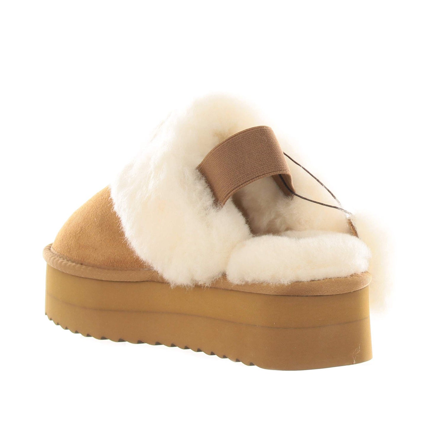 Colors of california hc.shearpla4