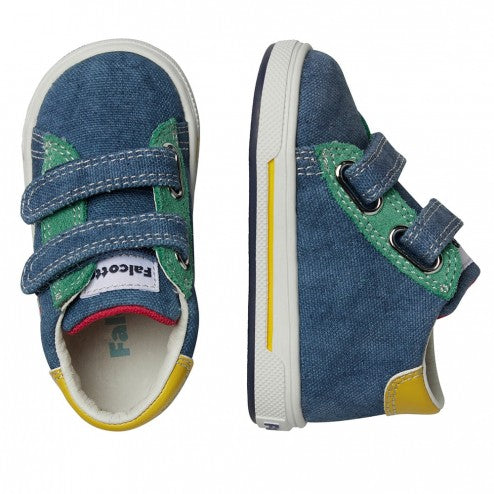 FALCOTTO - ZIRKO VL CANVAS