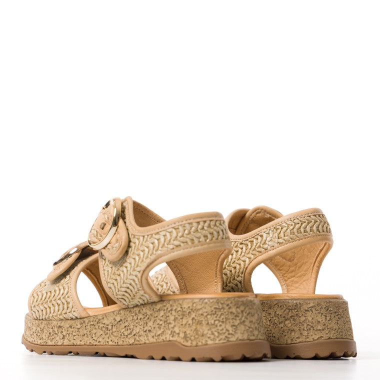 Melluso - k56239 camel