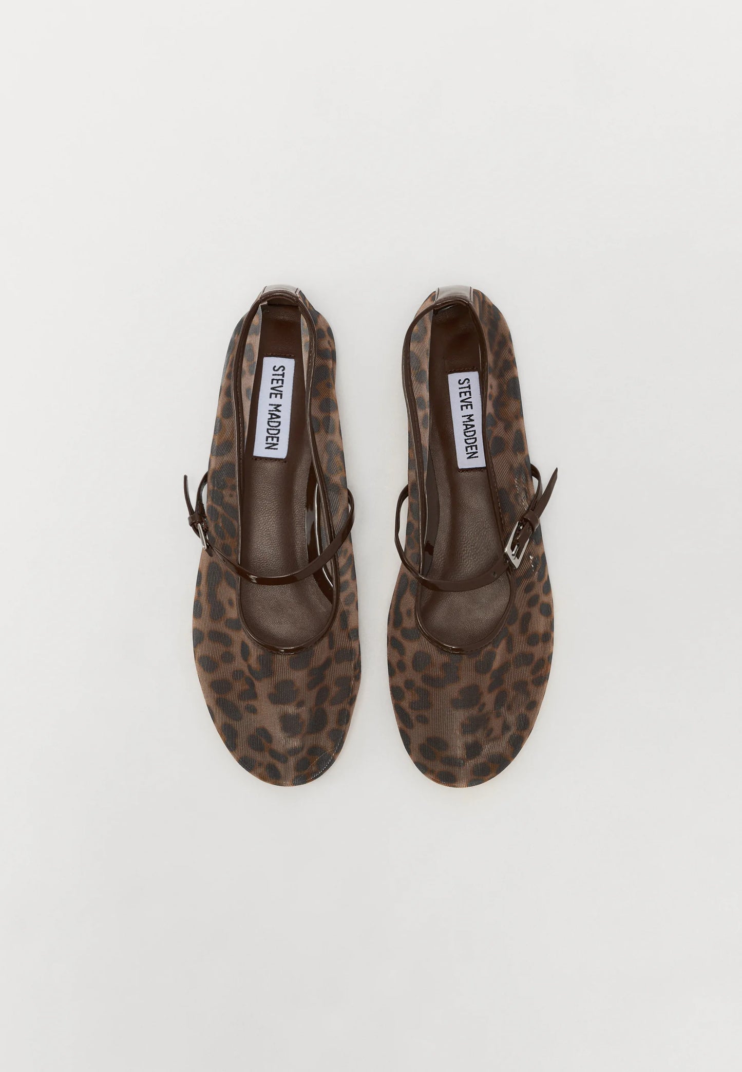 Steve Madden - Mash leopard