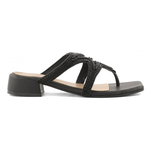 CB Fusion - CBF.R226011