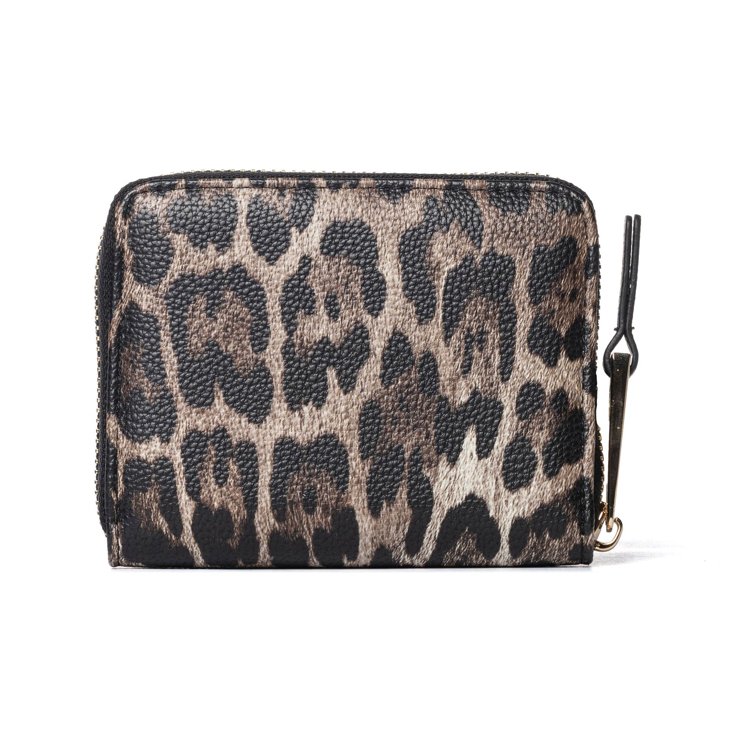 Marc ellis- cloe leo