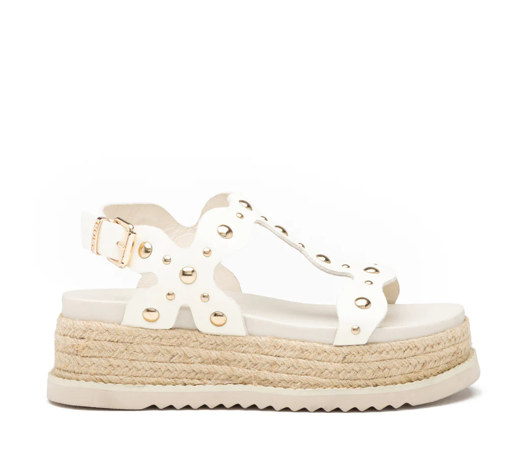 Cult- Doja 4736