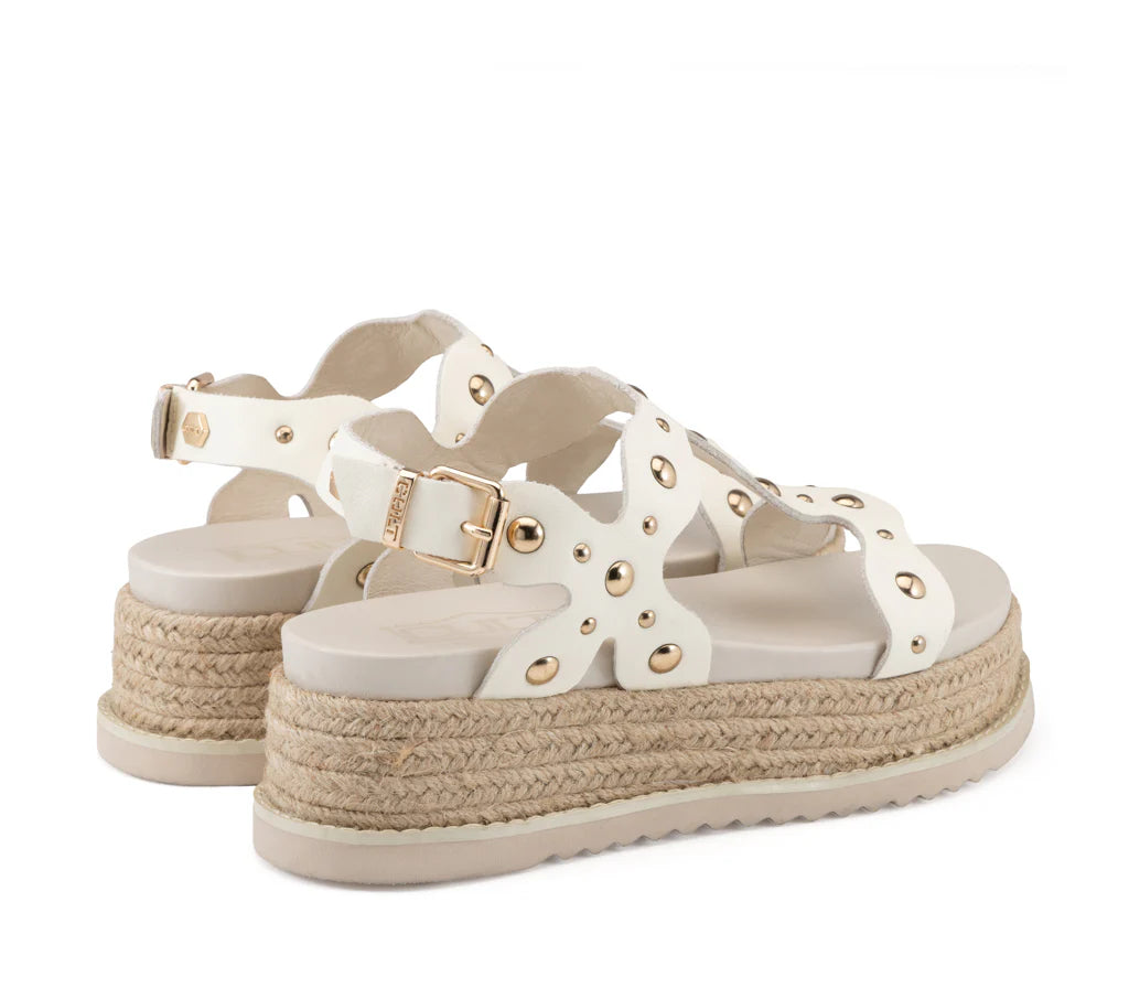 Cult- Doja 4736