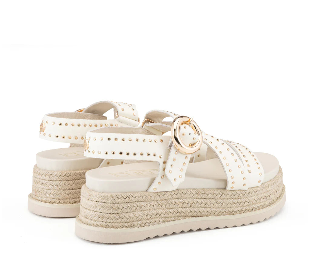 Cult- Doja 4737