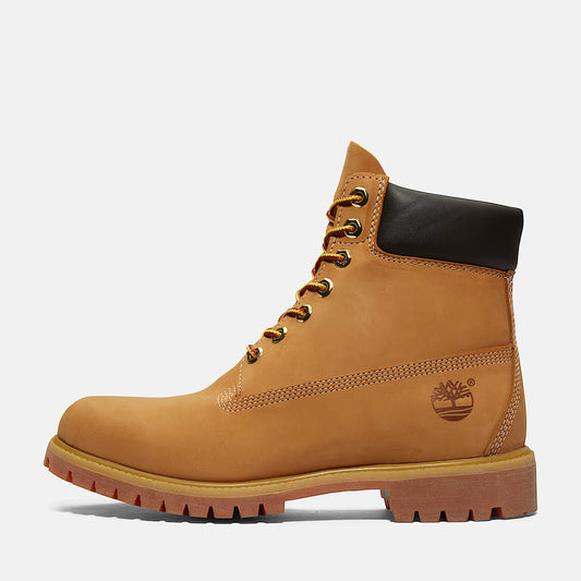 Timberland- premium 6 in lace waterproof