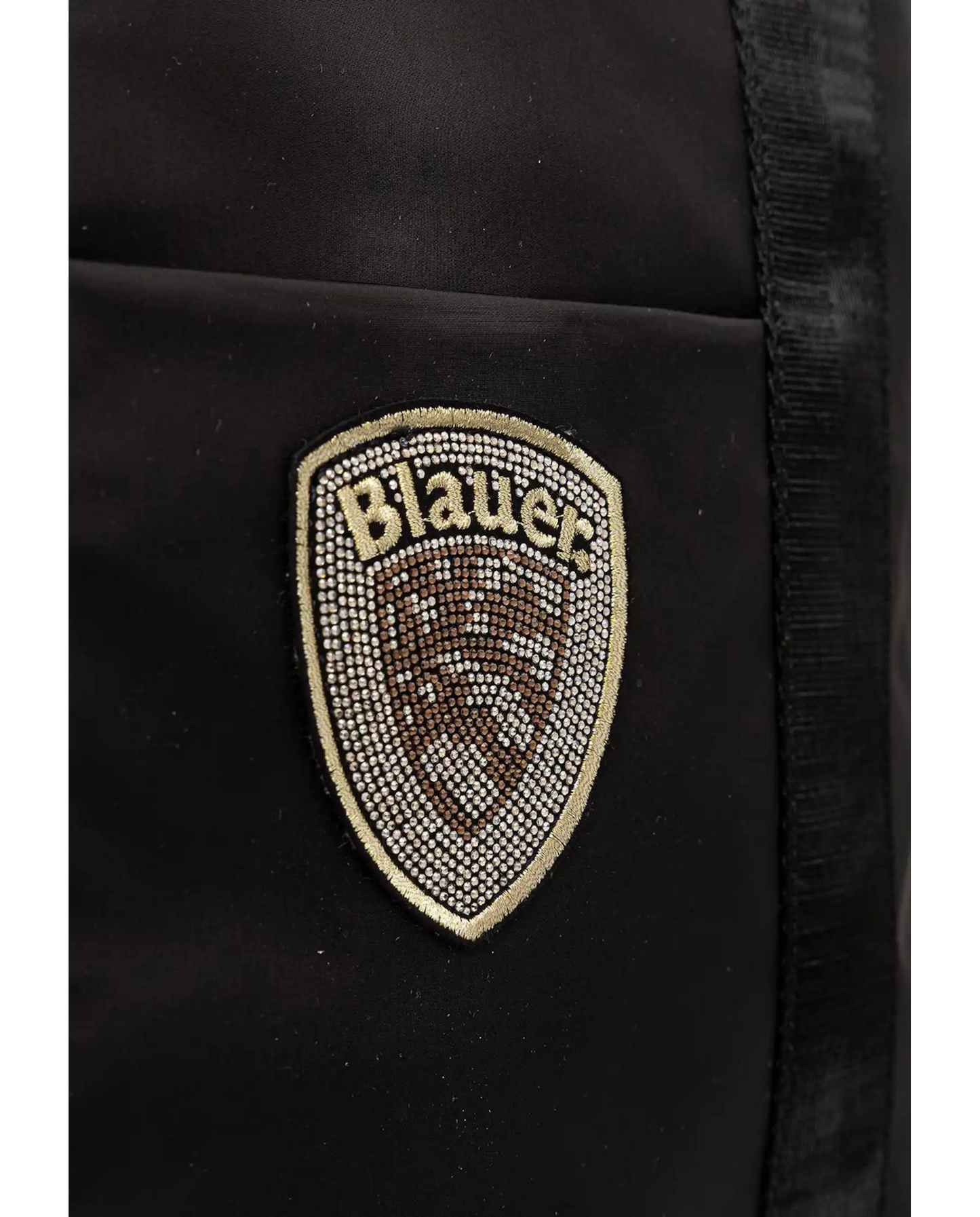 Blauer-  SILVA01