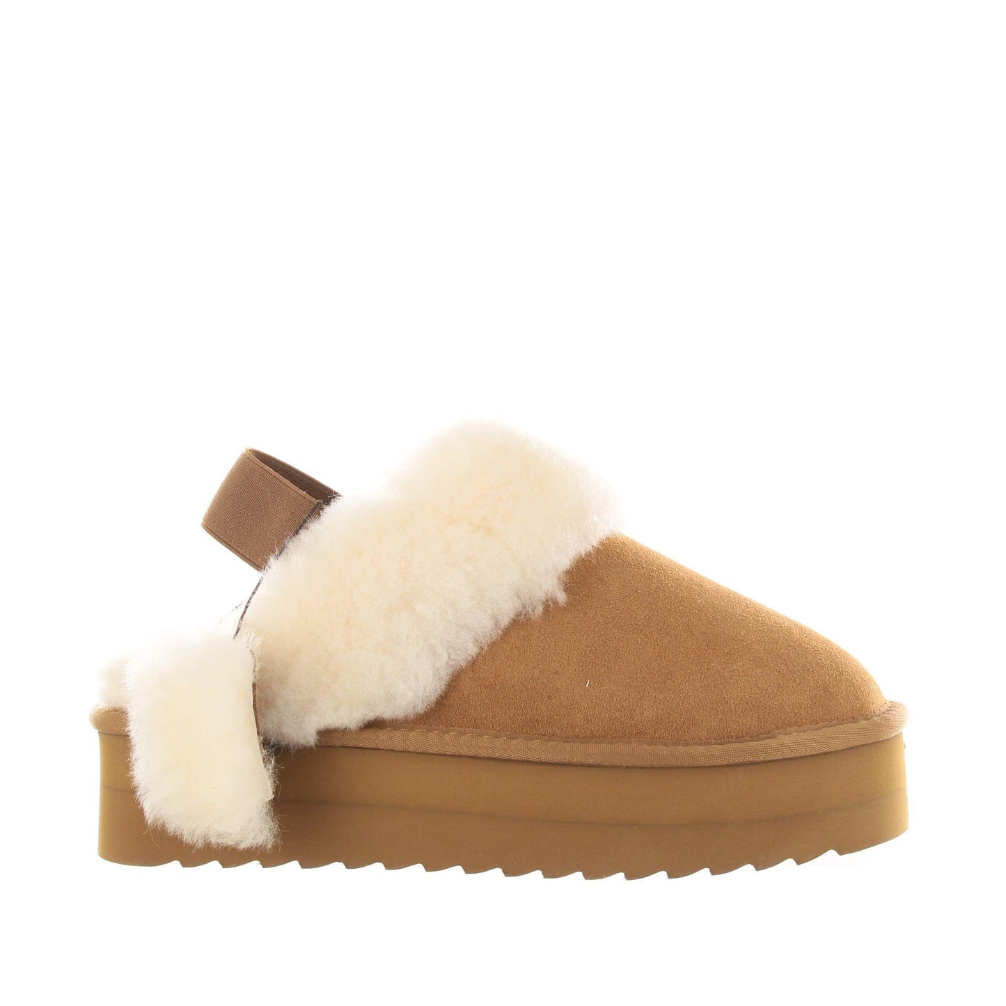 Colors of california hc.shearpla4