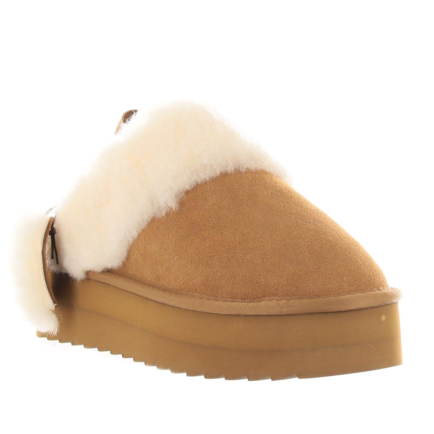 Colors of california hc.shearpla4