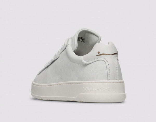 Voile blanche - Layton Clean