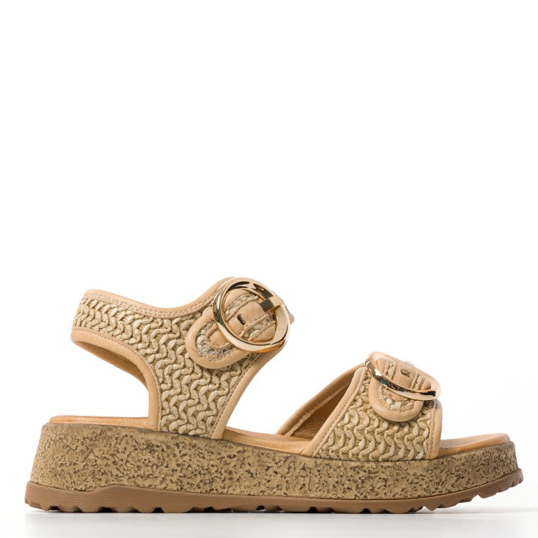 Melluso - k56239 camel